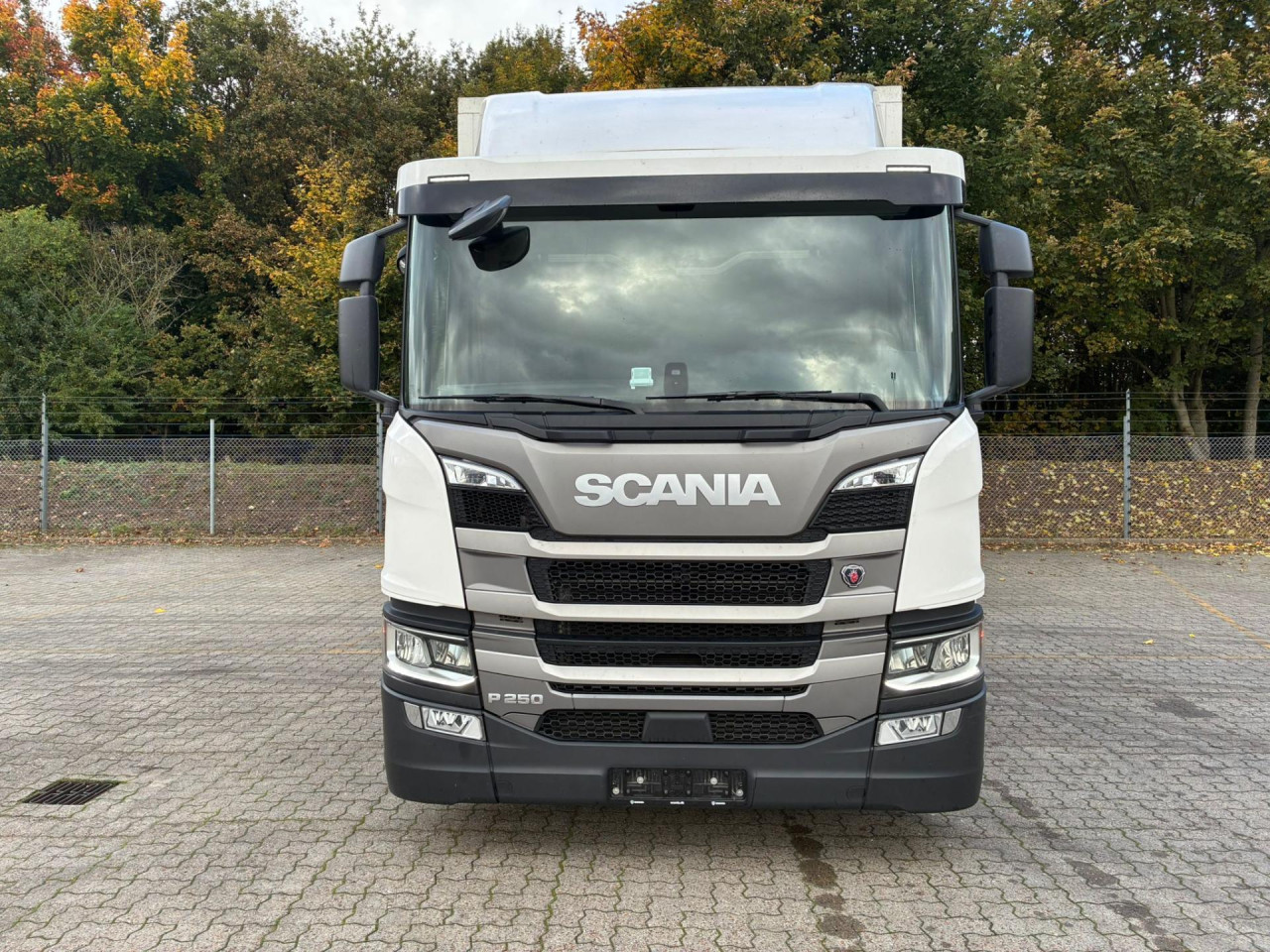 Scania P 250 B4x2NB - BOKS/LIFT